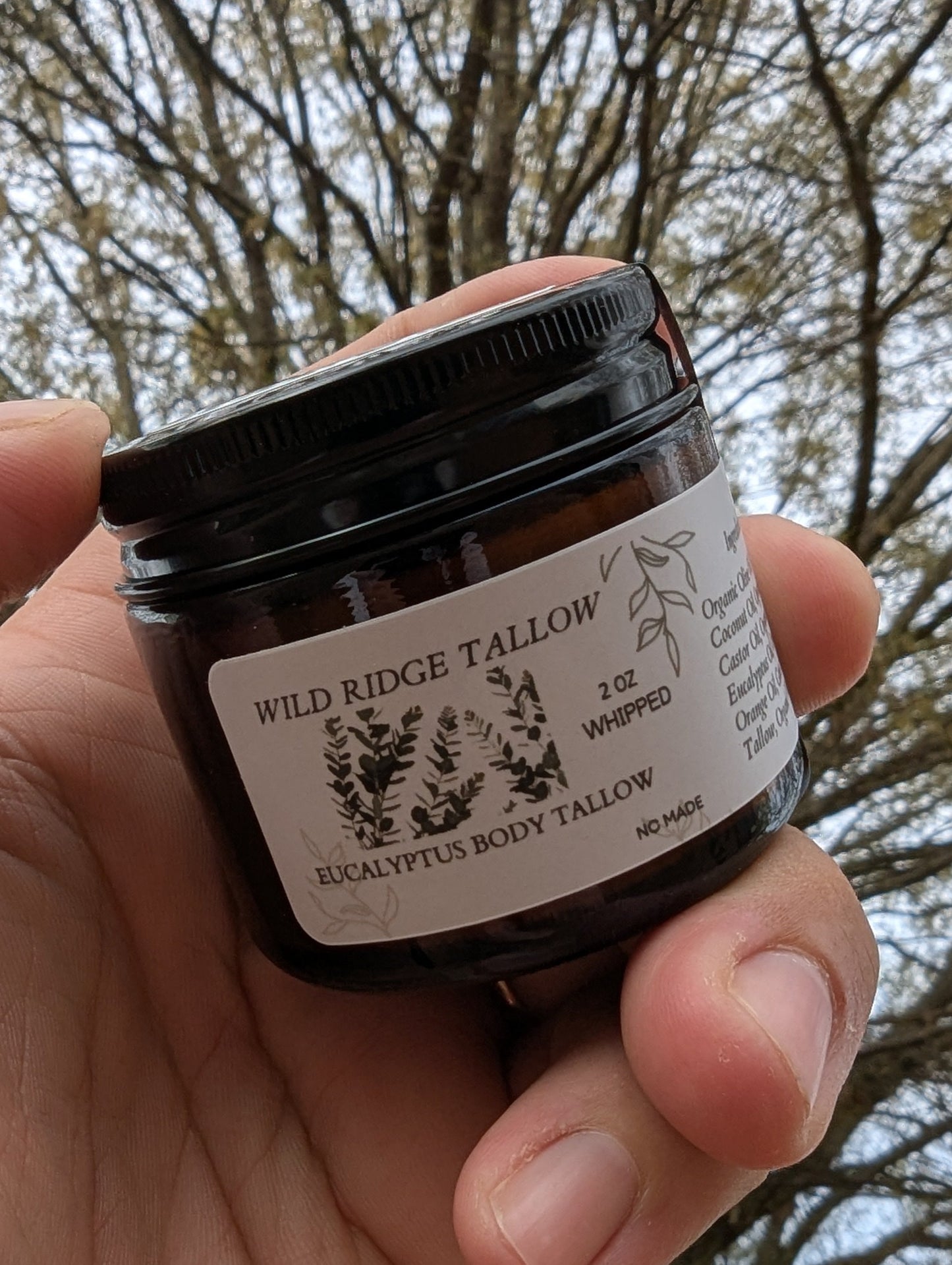 Wild Ridge Tallow 2oz Citrus Eucalyptus Tree